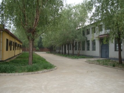 ������ɰ�C�S��